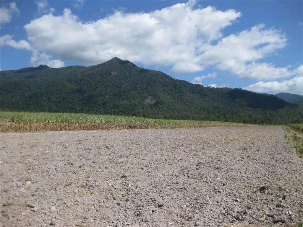 Main view of Homely rural property listing, Address available on request