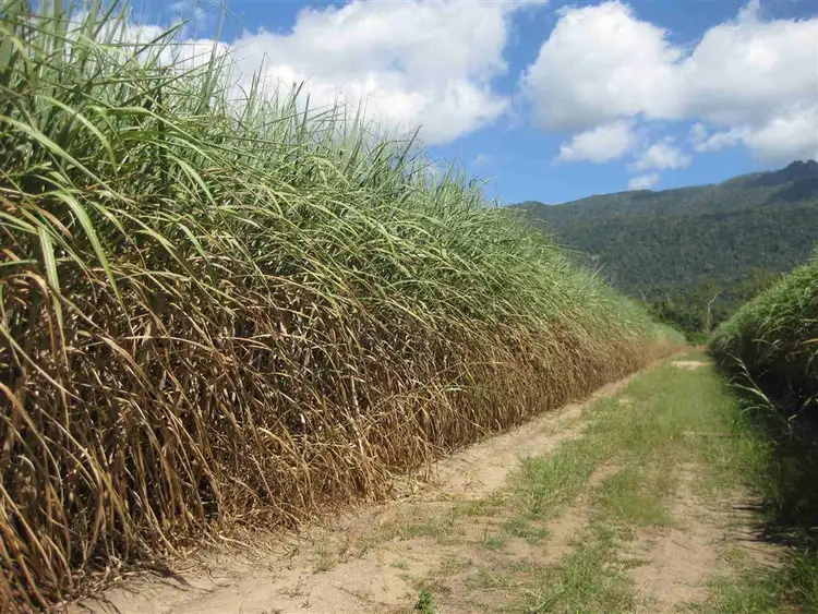 Third view of Homely rural property listing, Address available on request