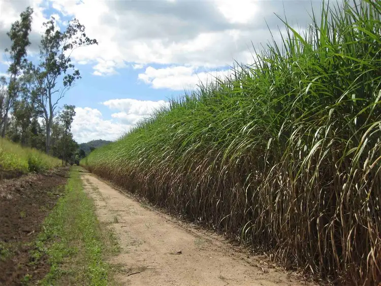 Seventh view of Homely rural property listing, Address available on request