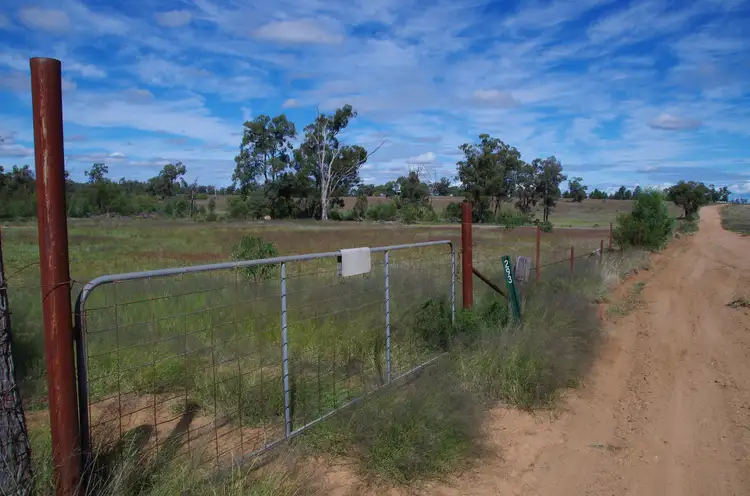 Main view of Homely rural property listing, 293 Highfield Lane, Narrabri NSW 2390