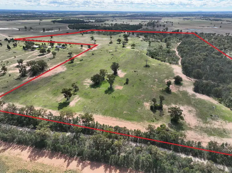 Second view of Homely rural property listing, 293 Highfield Lane, Narrabri NSW 2390