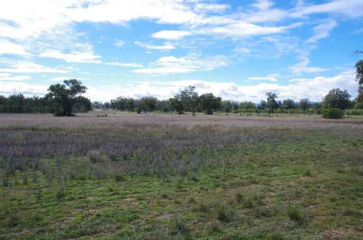 Third view of Homely rural property listing, 293 Highfield Lane, Narrabri NSW 2390