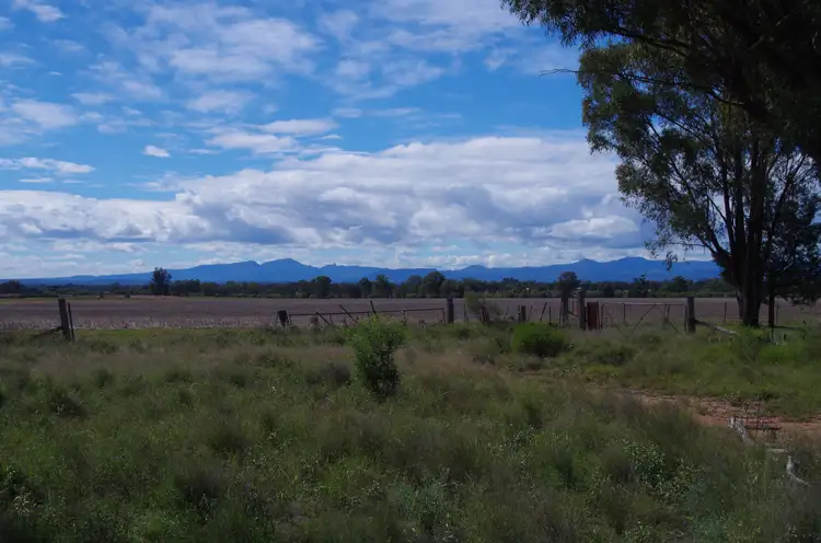 Seventh view of Homely rural property listing, 293 Highfield Lane, Narrabri NSW 2390