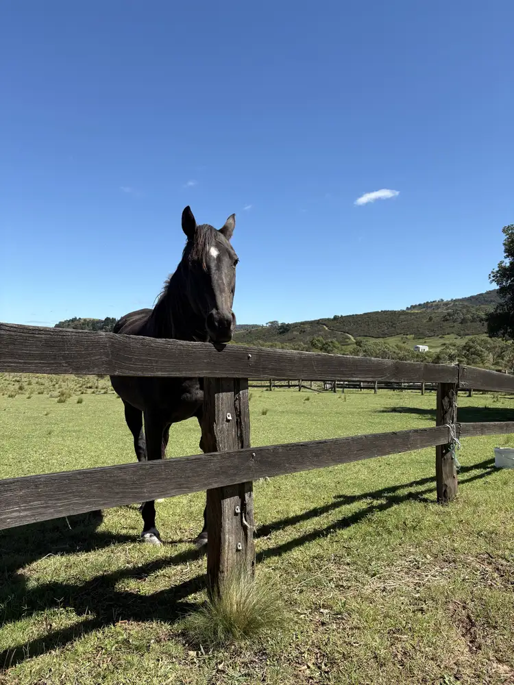 51 Griffins Road, Wyanbene NSW 2622