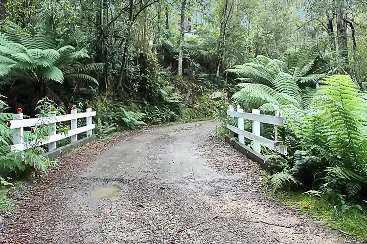 Part of PID 7682518 Mount Elephant Road, Gray TAS 7215