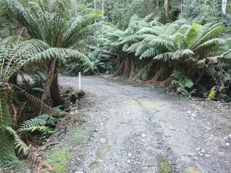 Second view of Homely land listing, Part of PID 7682518 Mount Elephant Road, Gray TAS 7215