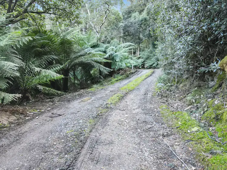 Third view of Homely land listing, Part of PID 7682518 Mount Elephant Road, Gray TAS 7215