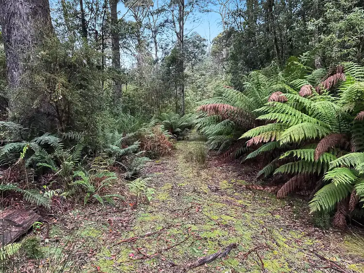 Fourth view of Homely land listing, Part of PID 7682518 Mount Elephant Road, Gray TAS 7215