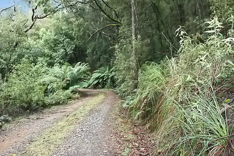 Fifth view of Homely land listing, Part of PID 7682518 Mount Elephant Road, Gray TAS 7215