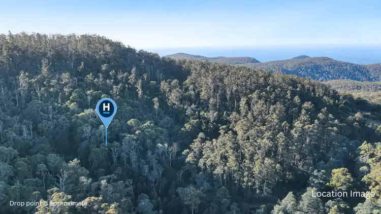 Main view of Homely land listing, PID 7682518 Mount Elephant Road, Gray TAS 7215