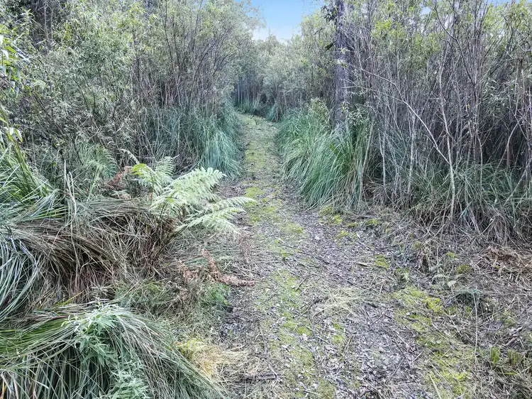 Sixth view of Homely land listing, PID 7682518 Mount Elephant Road, Gray TAS 7215
