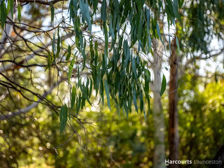 Seventh view of Homely land listing, 26A Redwood Crescent, Youngtown TAS 7249