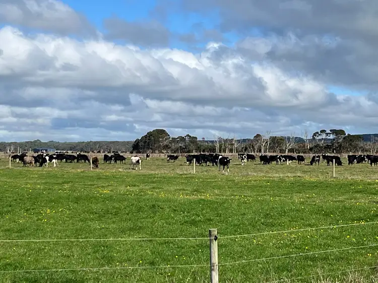 Second view of Homely rural property listing, 129 Bens Hill Road, Montagu TAS 7330