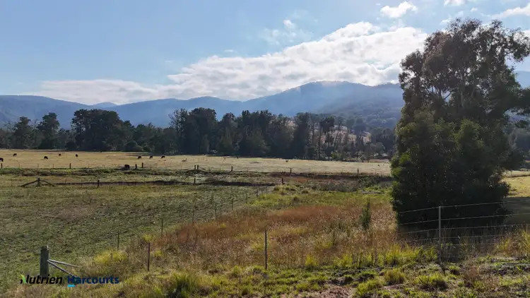 811 Majors Creek Mountain Road, Araluen, Araluen NSW 2622