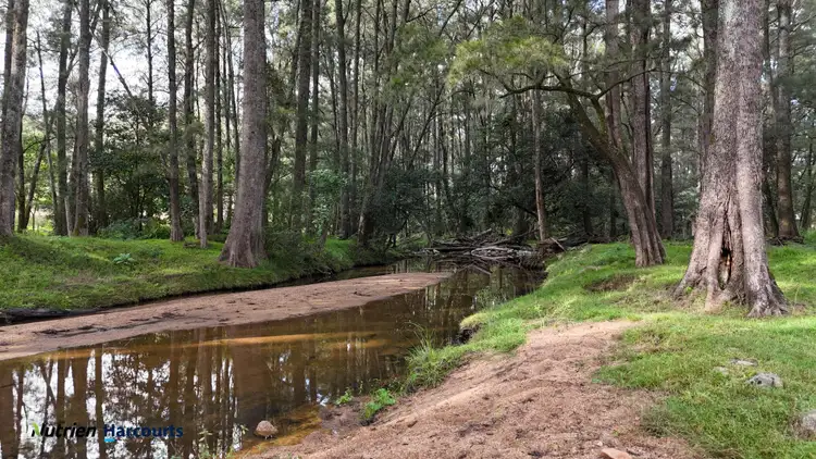 811 Majors Creek Mountain Road, Araluen, Araluen NSW 2622
