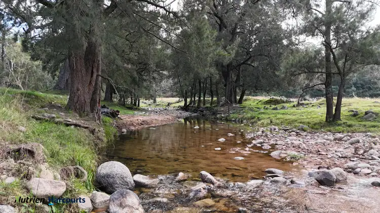 Fifth view of Homely rural property listing, 811 Majors Creek Mountain Road, Araluen, Araluen NSW 2622