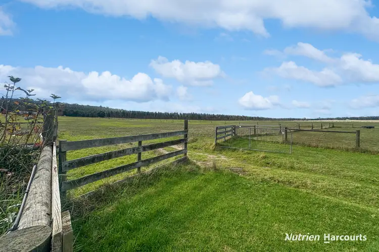 Fifth view of Homely house listing, 180 Holmans Road, Yarram VIC 3971