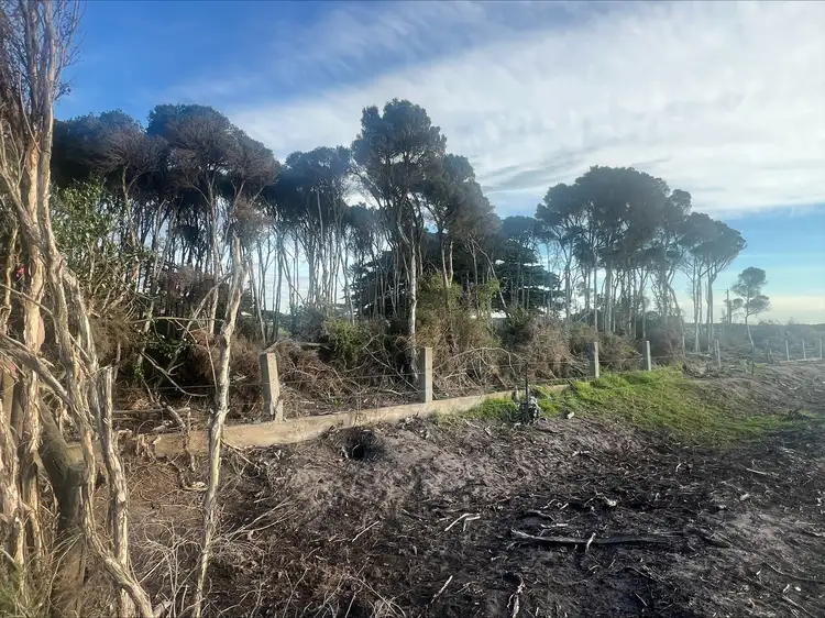 Fourth view of Homely land listing, . Butter Factory Road, Whitemark TAS 7255