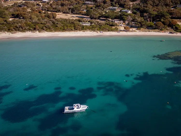 554 Killiecrankie Road, Killiecrankie TAS 7255