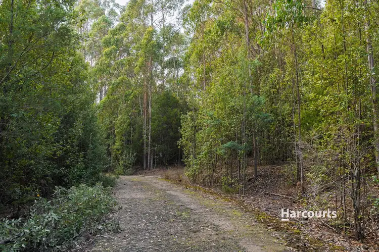 Seventh view of Homely house listing, Lot 2 South Riana Road, South Riana TAS 7316