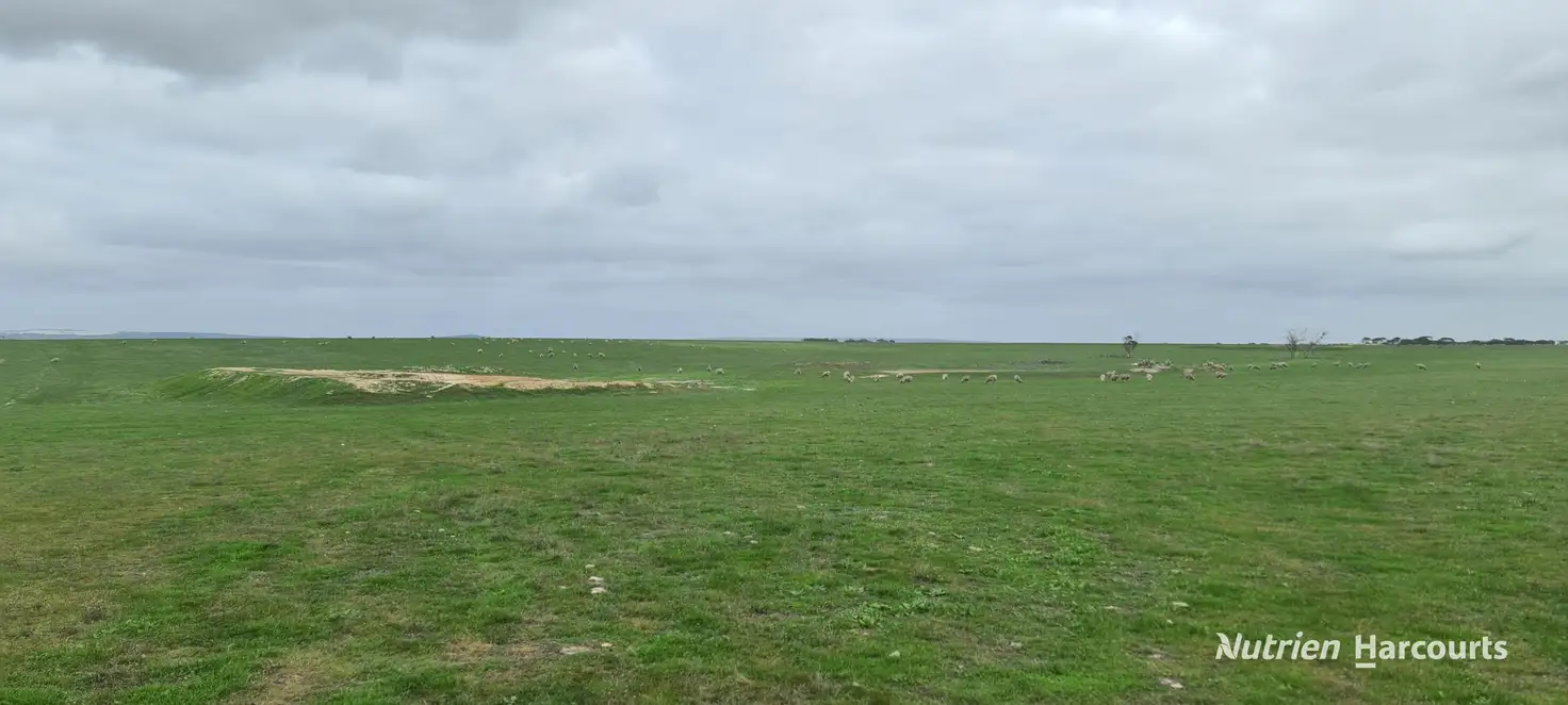 Main view of Homely rural property listing, Lot 311 Borden-Bremer Bay Road, Bremer Bay WA 6338