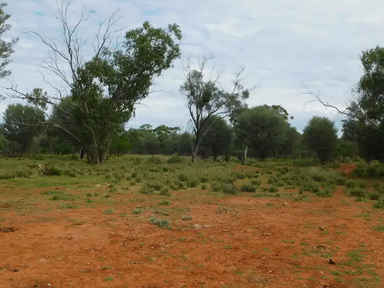 Main view of Homely land listing, 3310 Wardsdale Road, Charleville QLD 4470