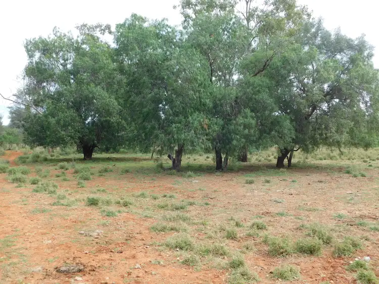 Third view of Homely land listing, 3310 Wardsdale Road, Charleville QLD 4470