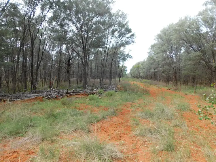 Fifth view of Homely land listing, 3310 Wardsdale Road, Charleville QLD 4470