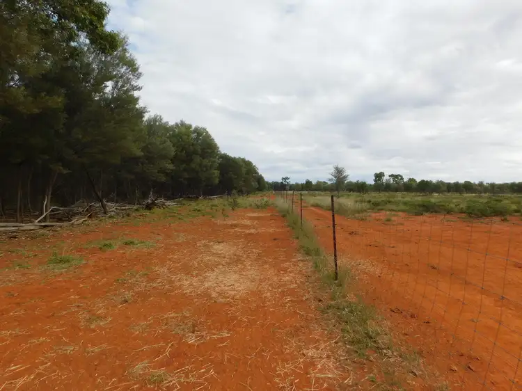 Sixth view of Homely land listing, 3310 Wardsdale Road, Charleville QLD 4470