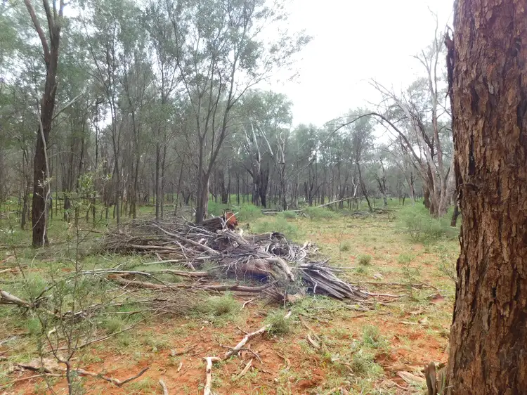 Seventh view of Homely land listing, 3310 Wardsdale Road, Charleville QLD 4470