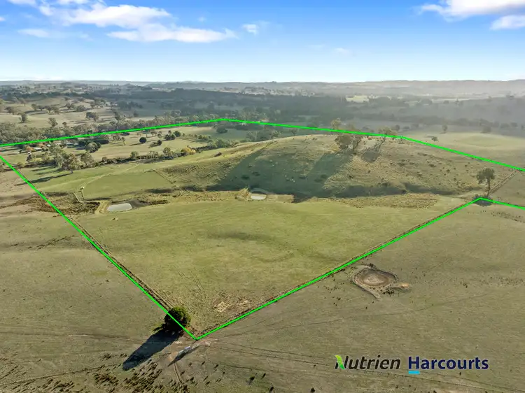 Fourth view of Homely rural property listing, 337 Maroondah Highway, Merton VIC 3715