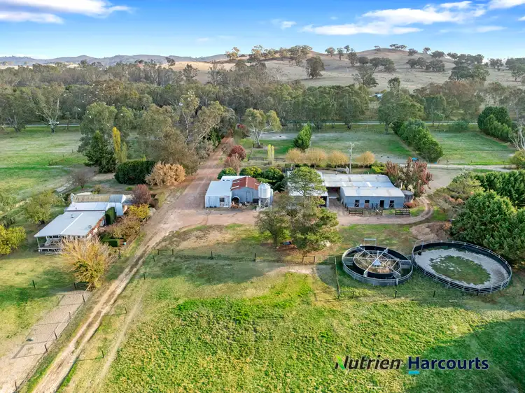 Fifth view of Homely rural property listing, 337 Maroondah Highway, Merton VIC 3715
