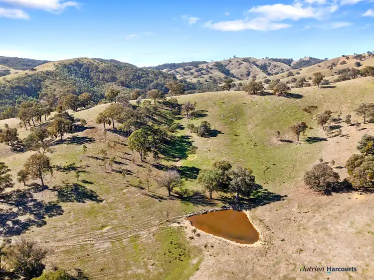Second view of Homely rural property listing, 736 UT Creek Road, Alexandra VIC 3714