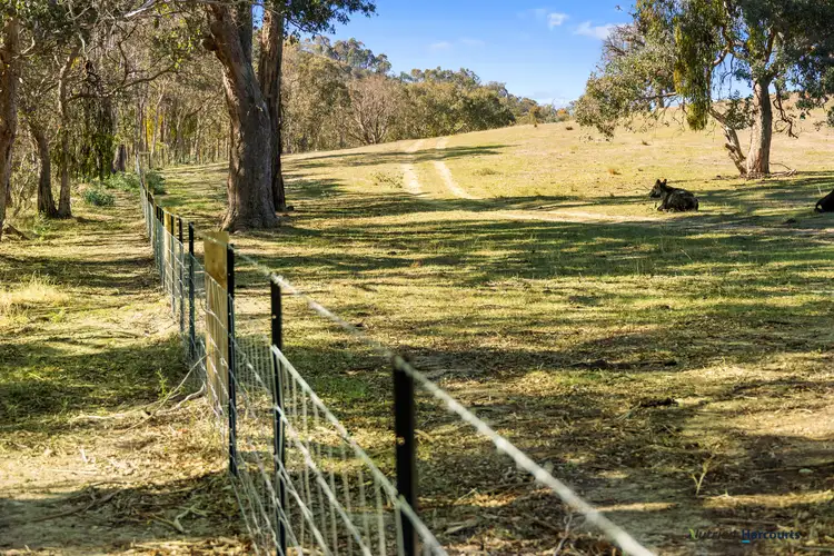 Third view of Homely rural property listing, 736 UT Creek Road, Alexandra VIC 3714
