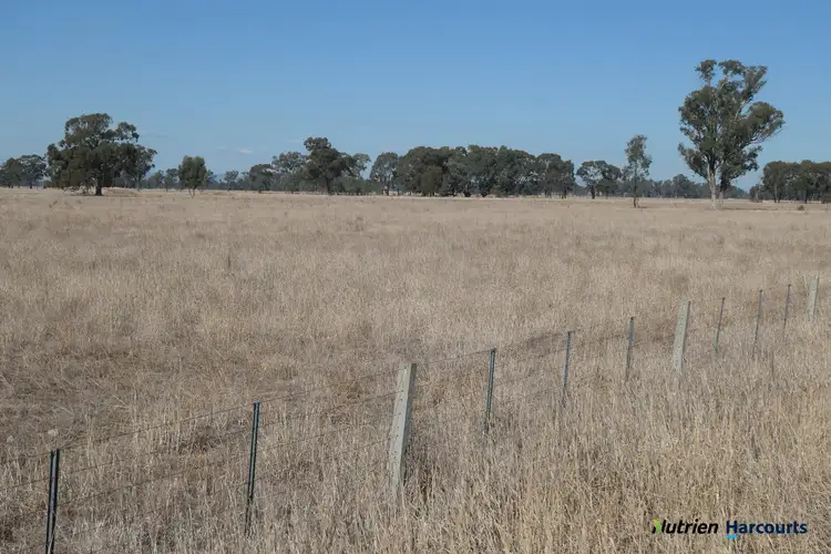 Fourth view of Homely rural property listing, 1125 Coach Road, Kialla East VIC 3631