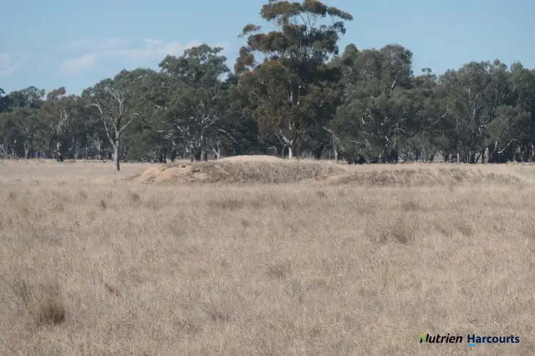 Sixth view of Homely rural property listing, 1125 Coach Road, Kialla East VIC 3631