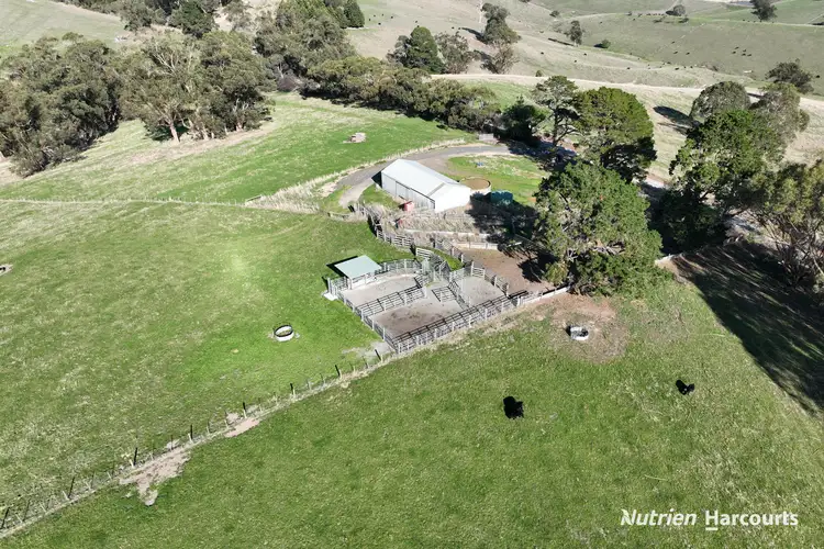 Main view of Homely rural property listing, 51 & 95 Kuhnes Road, Mardan VIC 3953