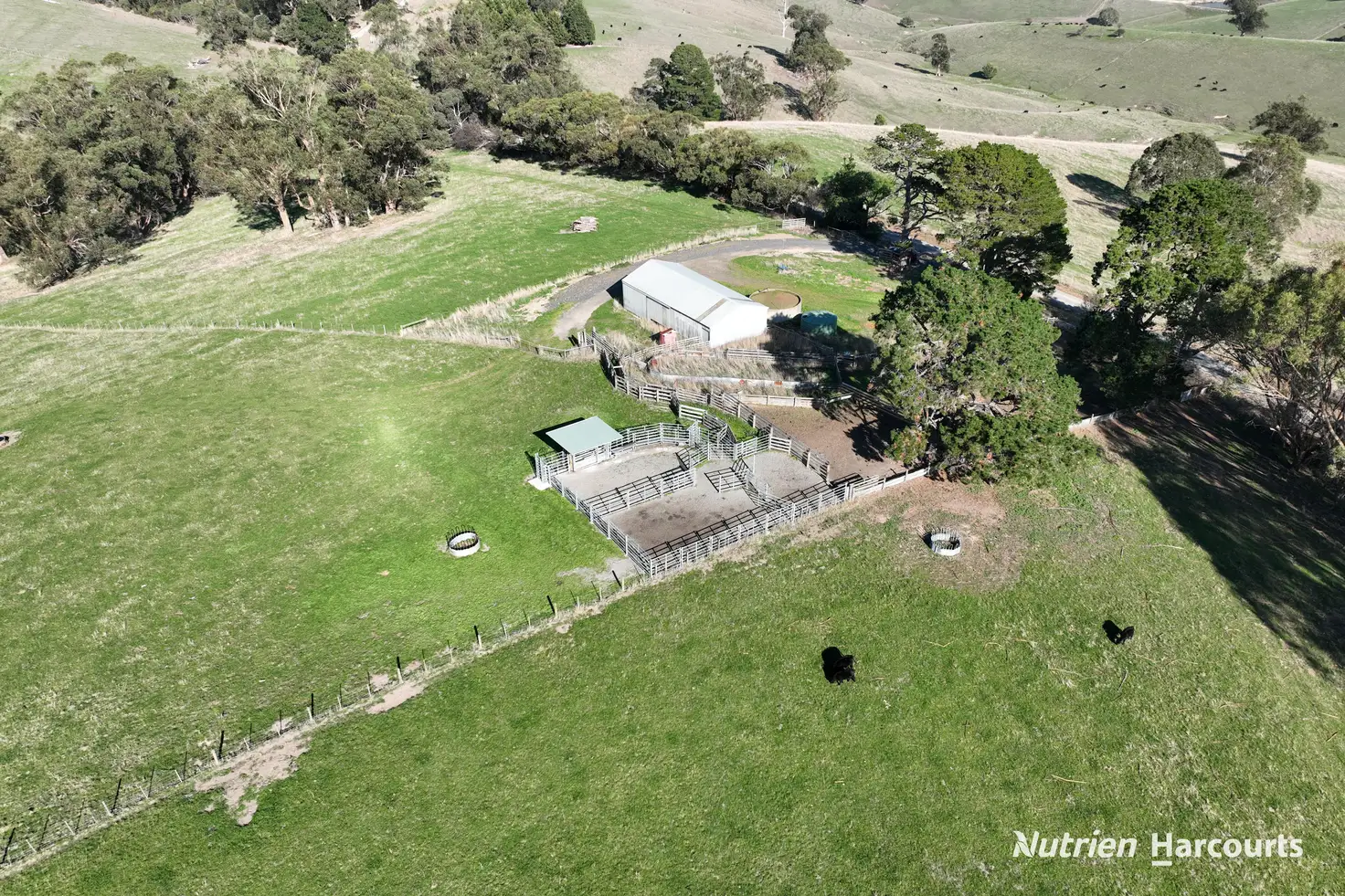 Main view of Homely rural property listing, 51 & 95 Kuhnes Road, Mardan VIC 3953