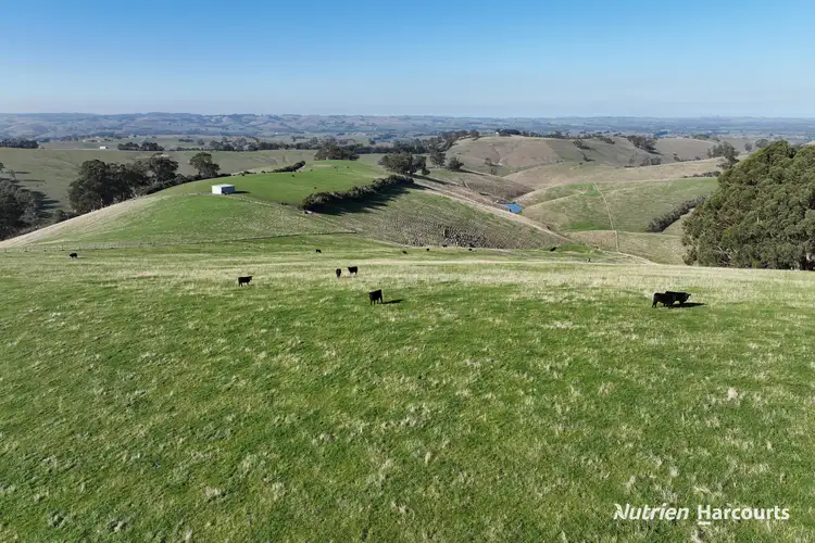 Fifth view of Homely rural property listing, 51 & 95 Kuhnes Road, Mardan VIC 3953