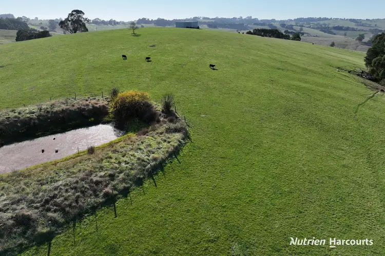 Sixth view of Homely rural property listing, 51 & 95 Kuhnes Road, Mardan VIC 3953