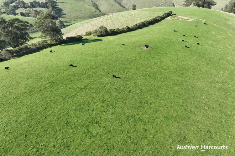 Seventh view of Homely rural property listing, 51 & 95 Kuhnes Road, Mardan VIC 3953