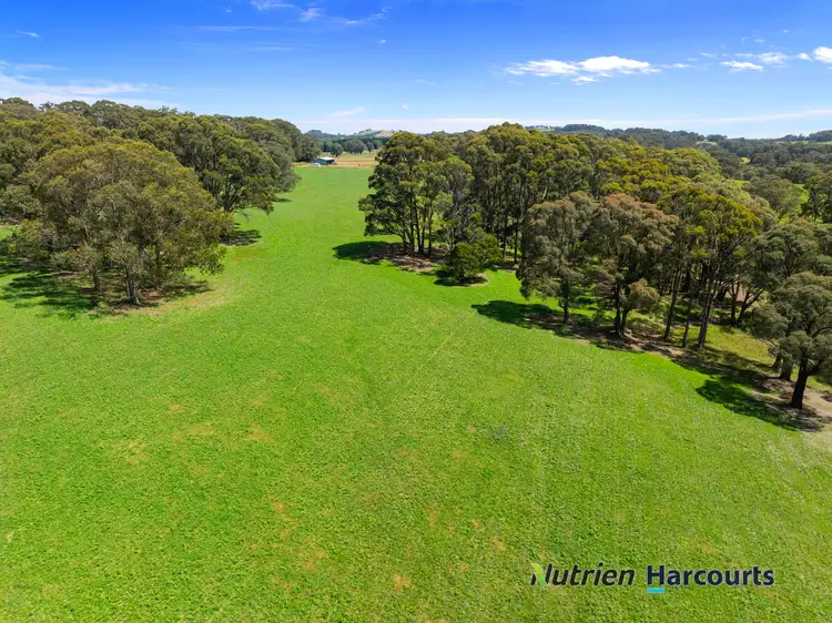 Fourth view of Homely rural property listing, 241 Chisholms Road, Highlands VIC 3660