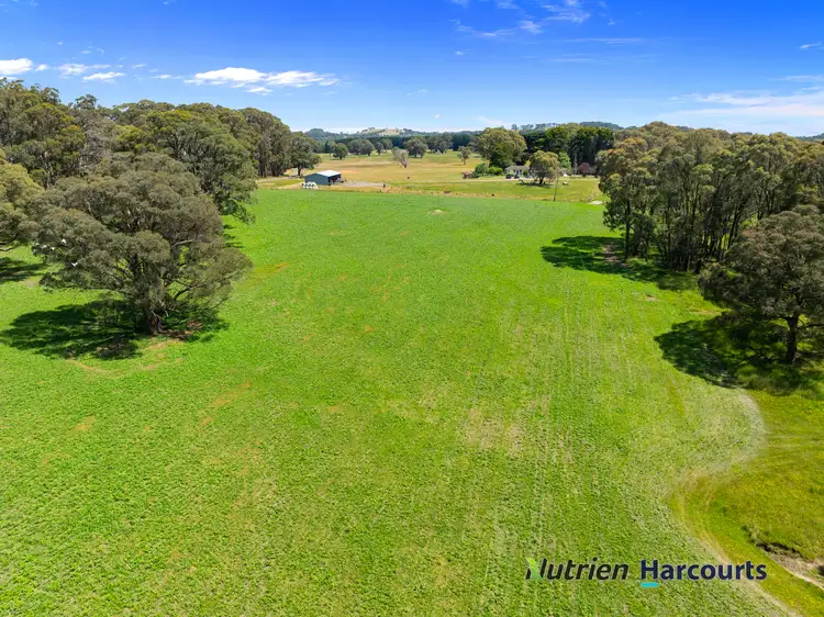 Fifth view of Homely rural property listing, 241 Chisholms Road, Highlands VIC 3660
