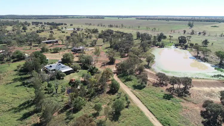 Sixth view of Homely rural property listing, "BURLOO" 9686 Meandarra Talwood Road, Bungunya QLD 4494