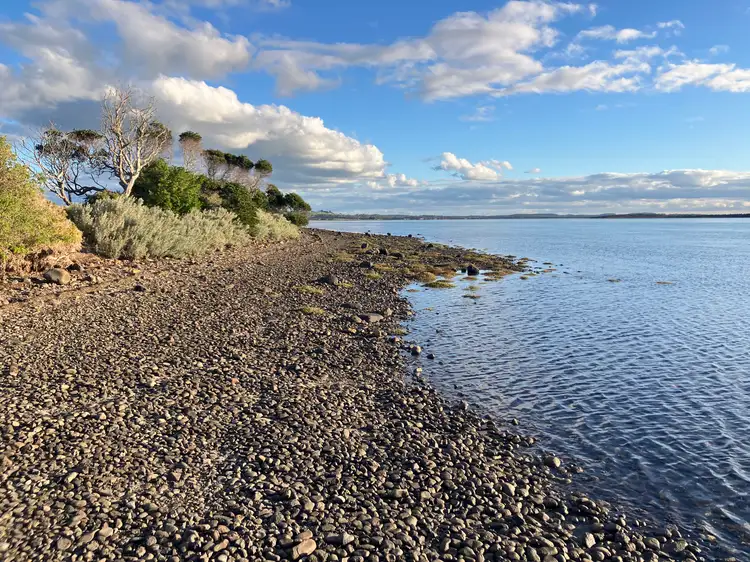 Seventh view of Homely rural property listing, 151 Stanley Highway, Stanley TAS 7331