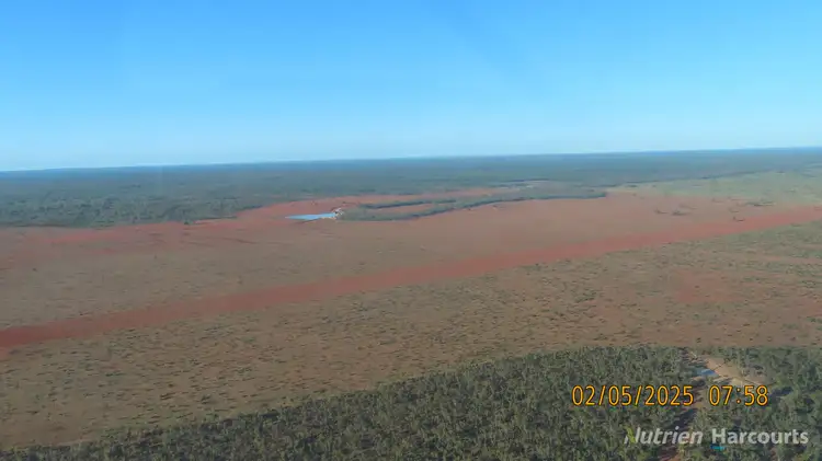 * CABLE DOWNS, Cobar NSW 2835