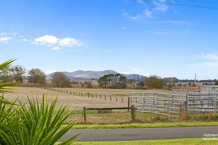 Fifth view of Homely house listing, 127 Black Street, Terang VIC 3264