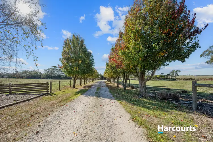 Third view of Homely rural property listing, 405 Outtrim-Leongatha Road, Leongatha South VIC 3953