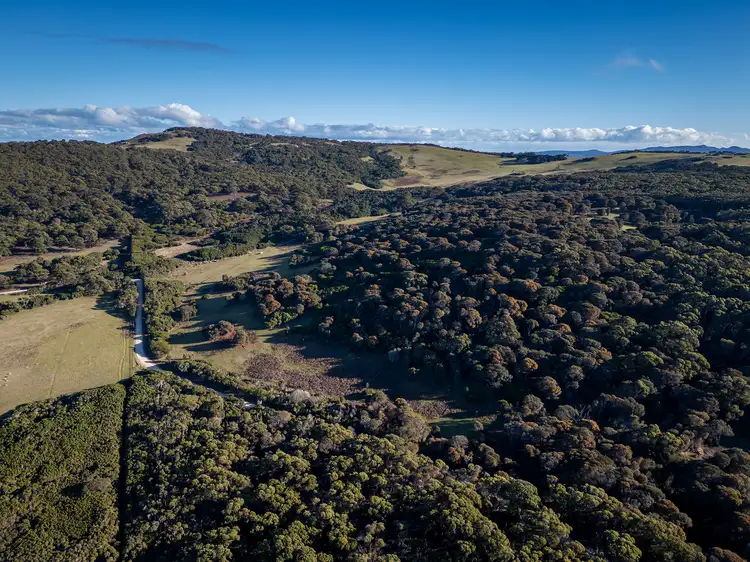 Fourth view of Homely rural property listing, . Sawyers Bay Road, Emita TAS 7255