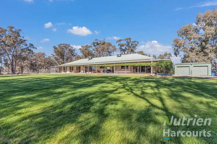 264 Old Deniliquin Road, Moama NSW 2731